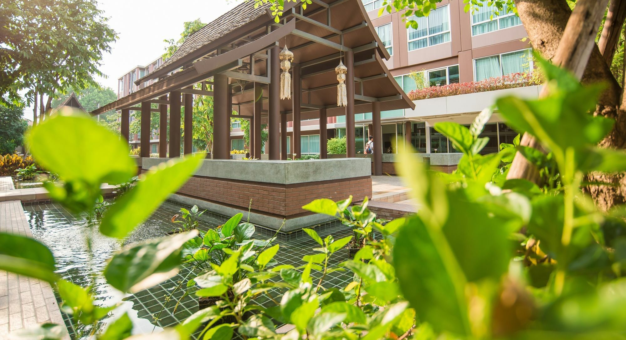 Hoc2 Apartment Santitham Chiang Mai